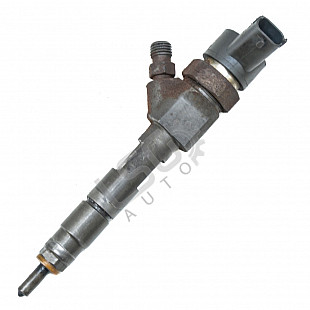 Дюза дизел Renault GRAND SCENIC II 2004-2009  , OEM 8200100272