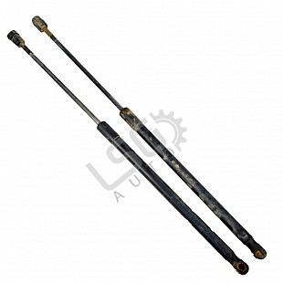 Амортисьори заден капак BMW 3 Series (E90, E91), OEM 5122VJ0450N