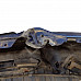 Предна броня Honda Accord VII 2002-2008