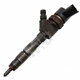 Дюза дизел Renault Scenic II, OEM 8200100272