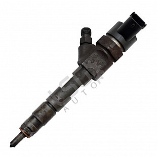 Дюза дизел Renault Scenic II, OEM 8200100272