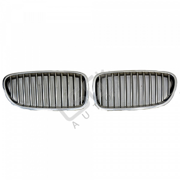 Решетки предна броня BMW 5 Series (F10, F11)