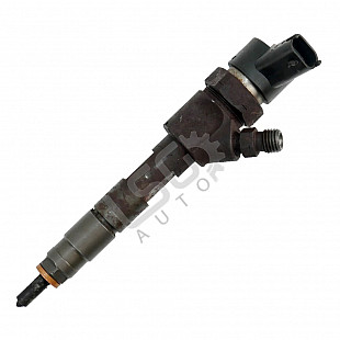 Дюза дизел Renault Megane II, OEM 8200100272