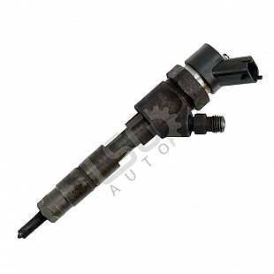 Дюза дизел Renault Megane II, OEM 8200100272