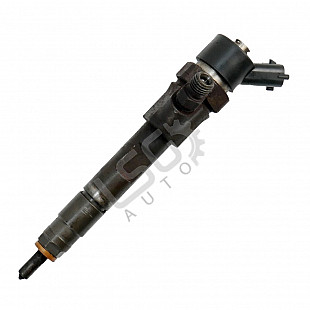 Дюза дизел Renault Megane II, OEM 8200100272