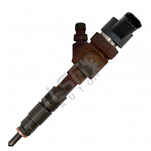 Дюза дизел Renault Scenic II, OEM 8200100272