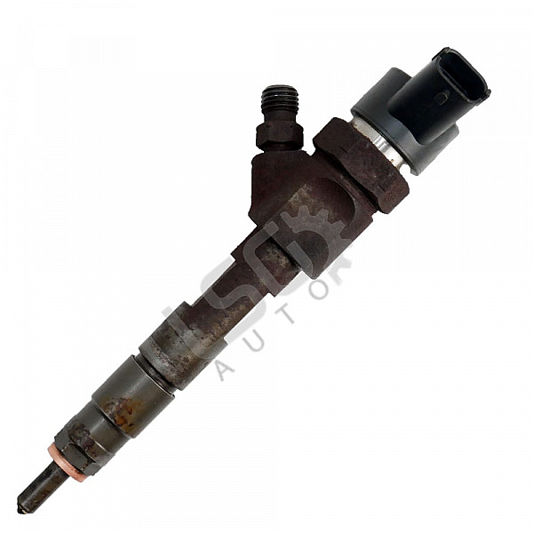 Дюза дизел Renault Scenic II, ОЕМ 8200100272