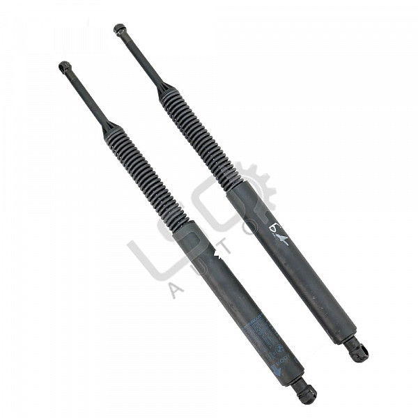 Амортисьори заден капак BMW 5 Series (F10, F11), ОЕМ 0310041270N