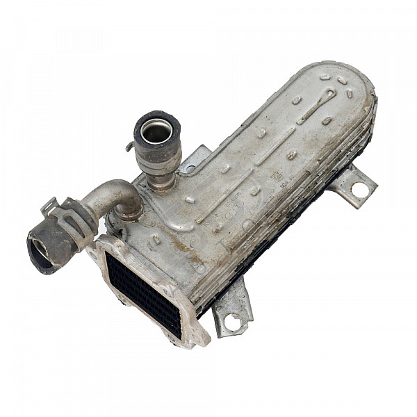 Охладител EGR Seat Leon II, ОЕМ 038131513AD