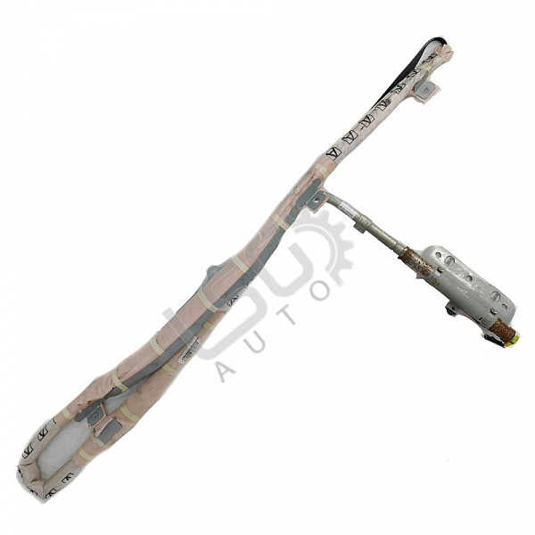 Десен AIRBAG таван Nissan Note I (E11), ОЕМ 305645020