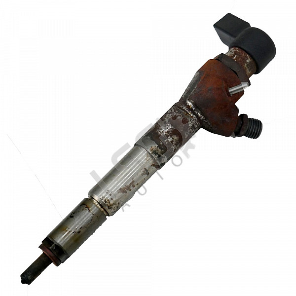 Дюза дизел Nissan Juke I, ОЕМ H8200704191